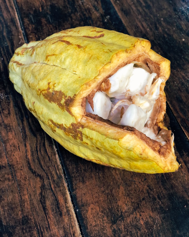 Taller artesanal de chocolatería — cacao y chocolate